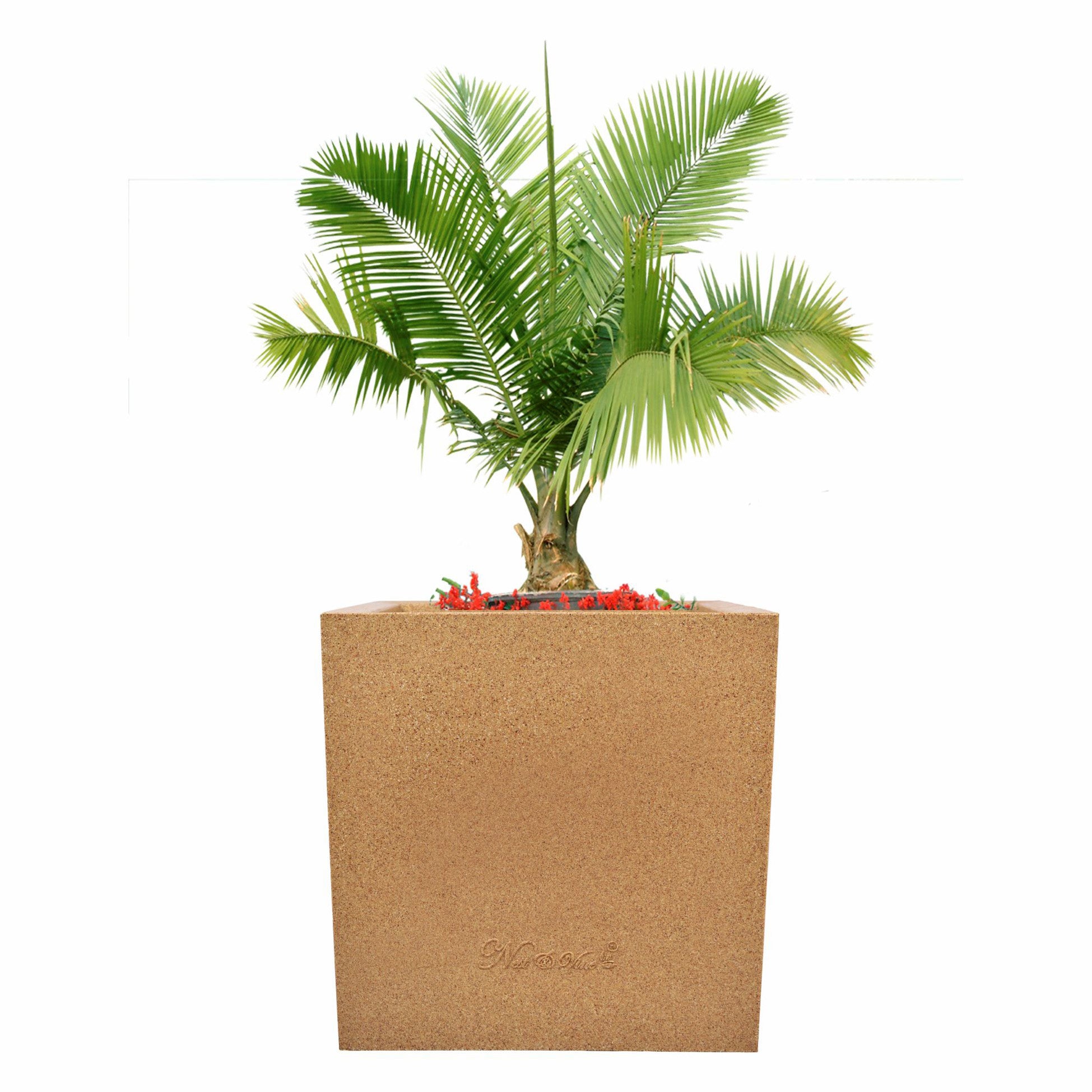 Kyvos – 15″ x 15″