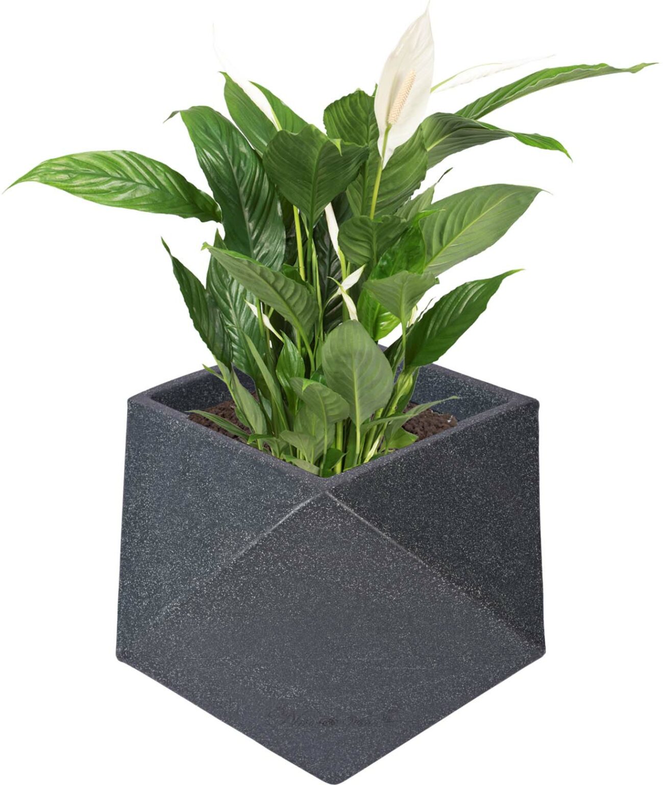 Diamanti – 15″ x 15″