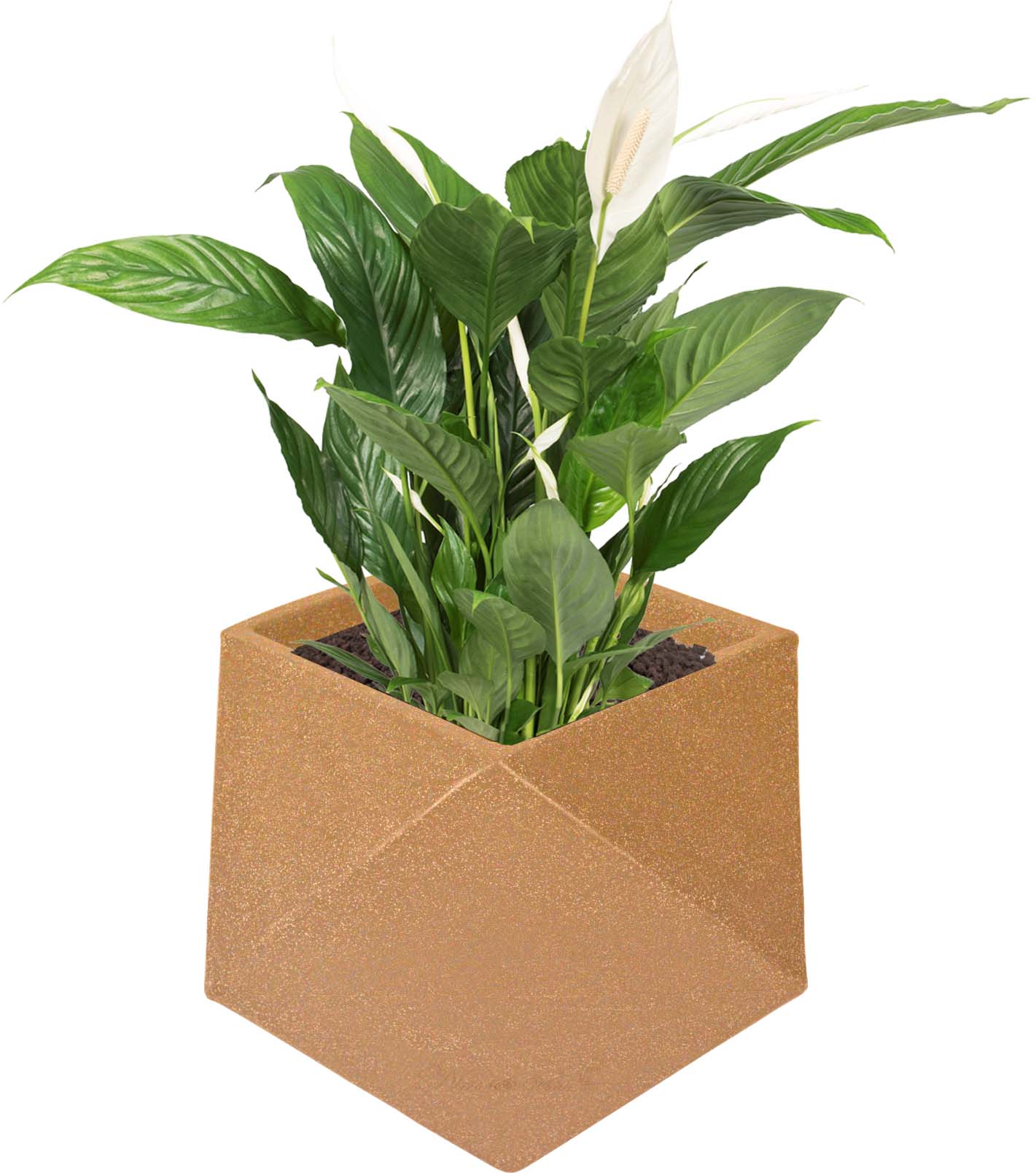 Diamanti – 15″ x 15″