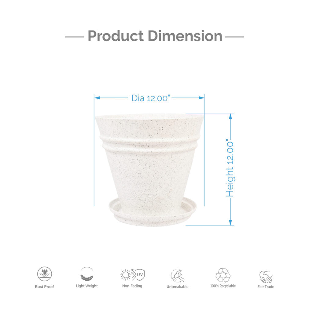 Konos (With Tray) – 12″ x 12″