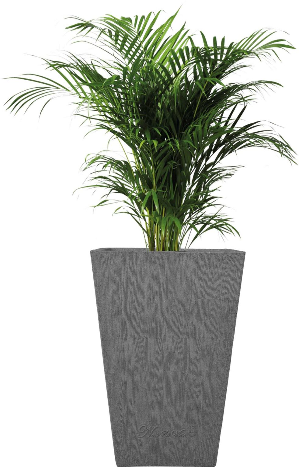 Makris – 12″ x 18″