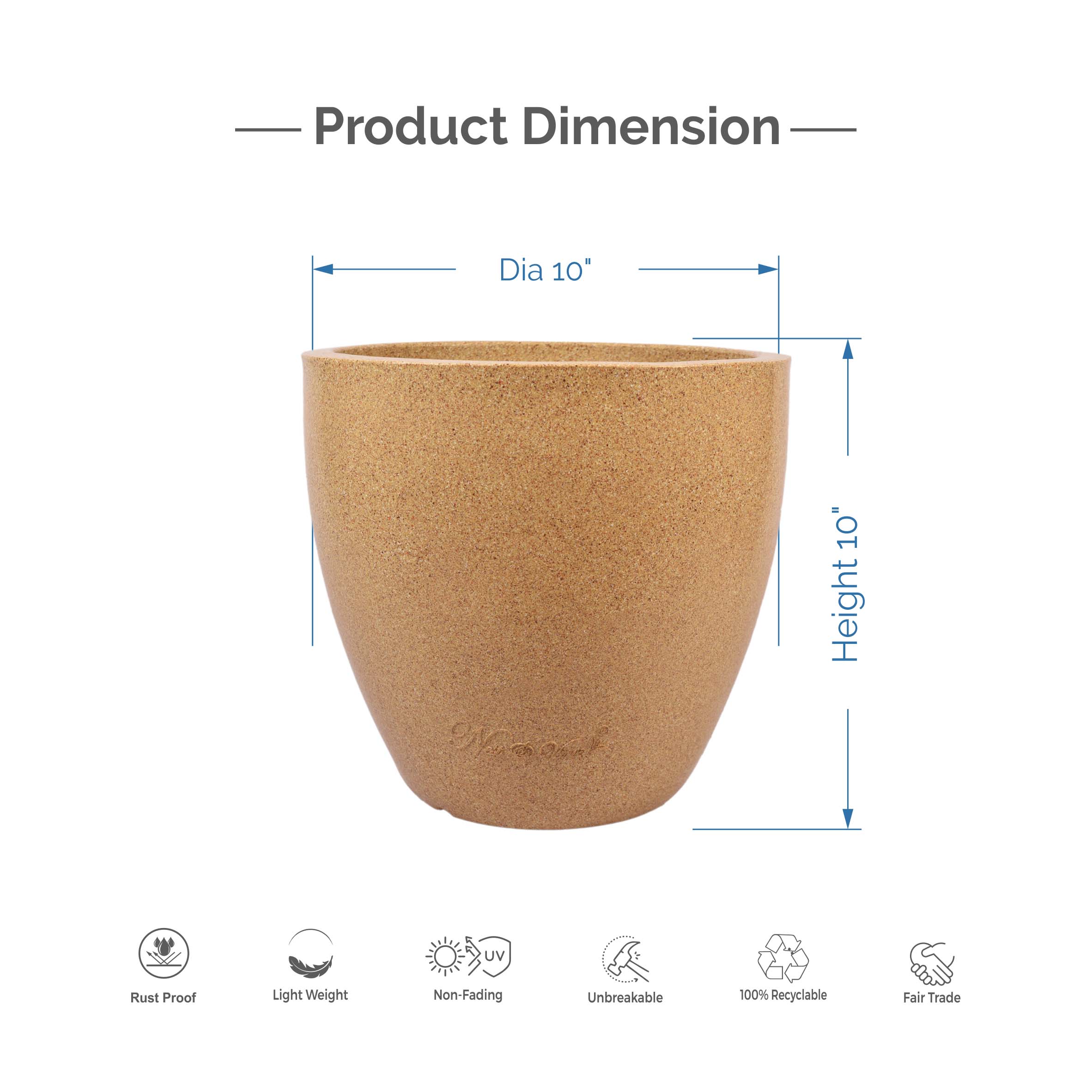 Convessa – 10″ x 10″
