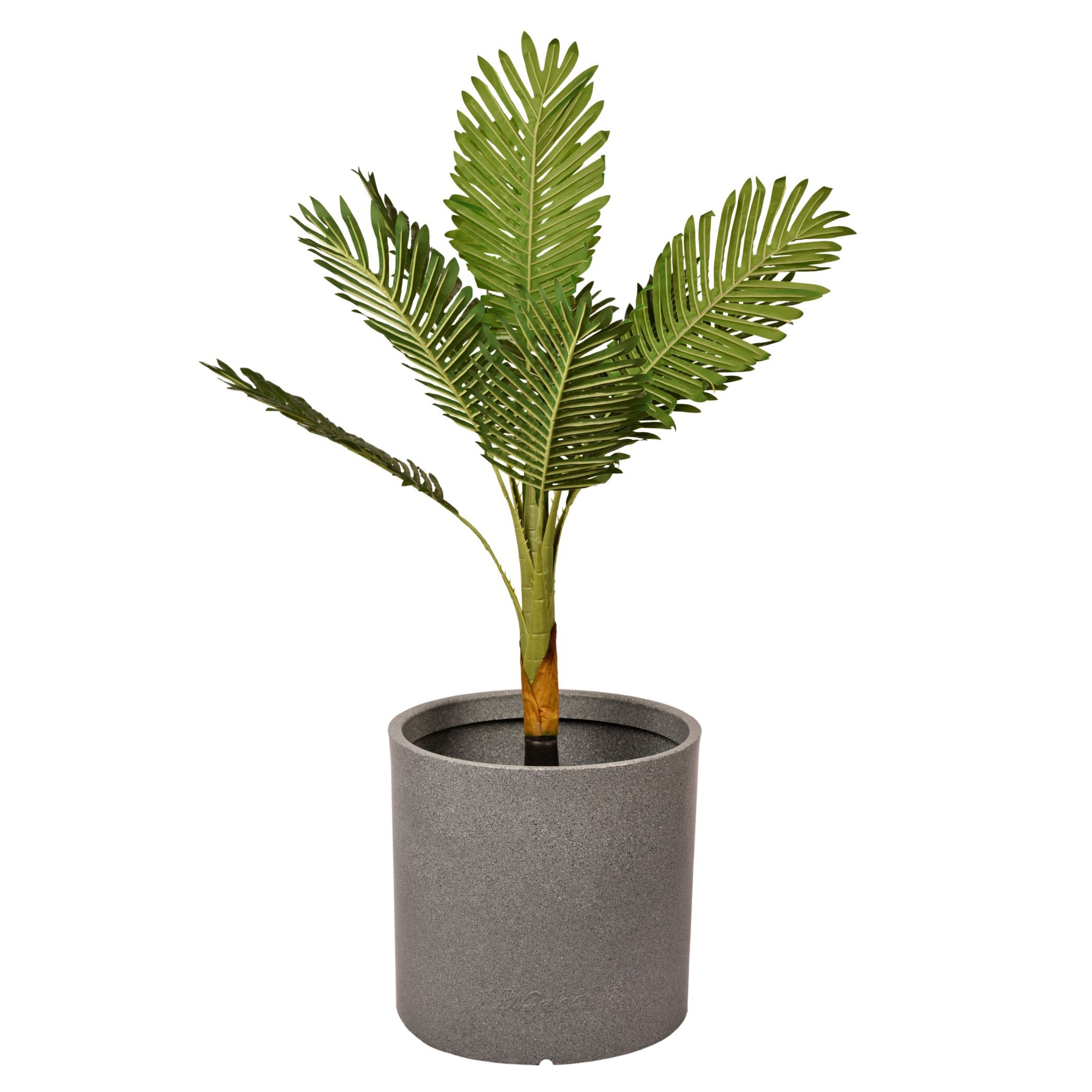 Docheio – 15″ x 14″
