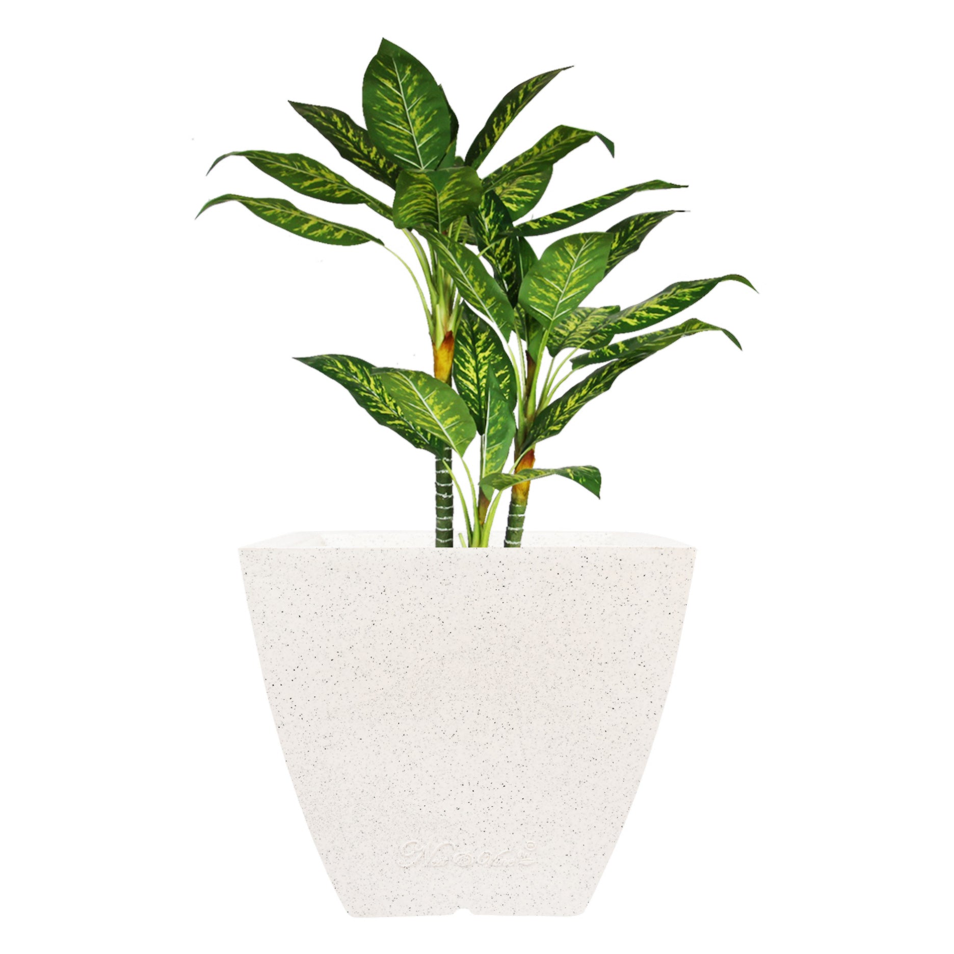 Domus – 16″ x 16″