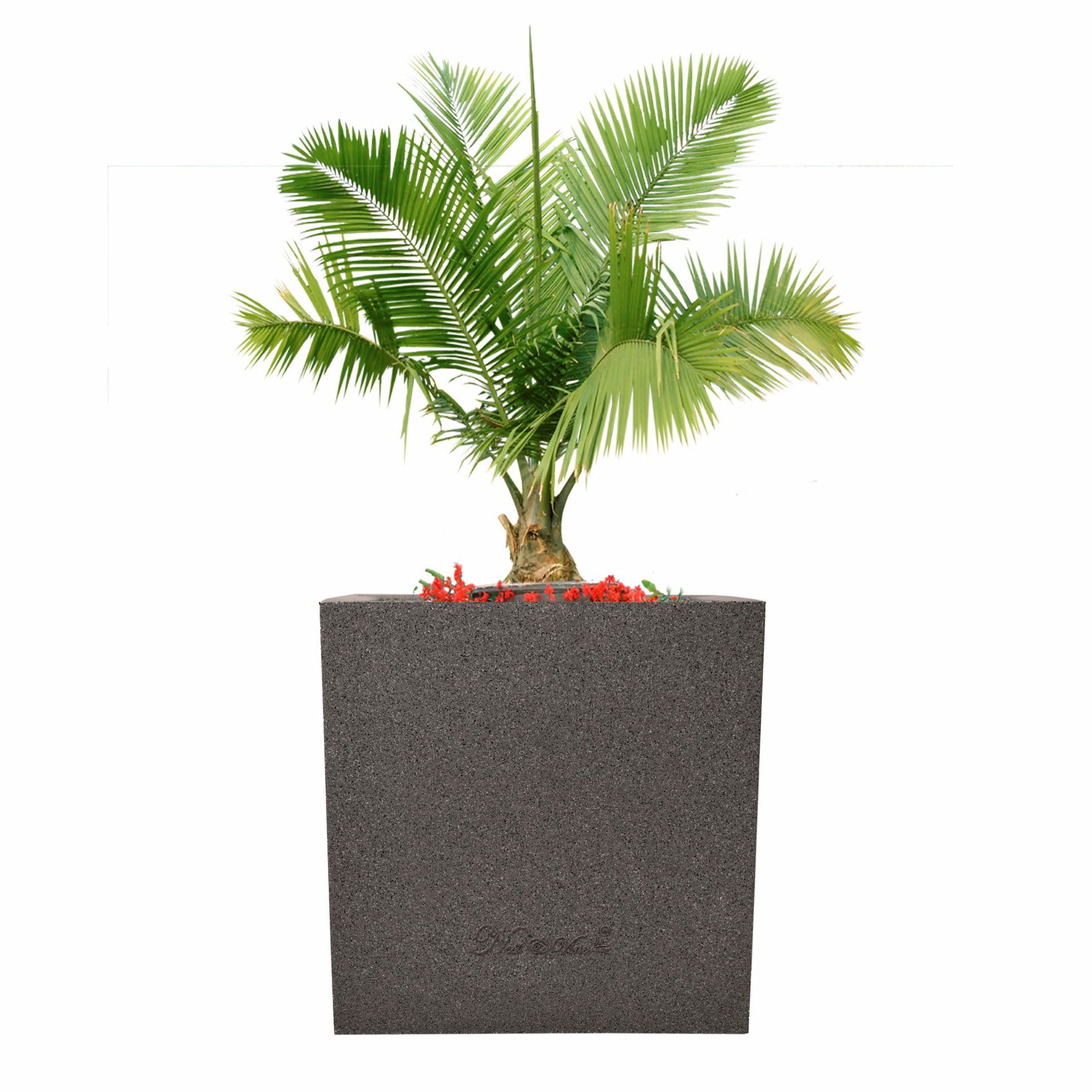 Kyvos – 12″ x 12″