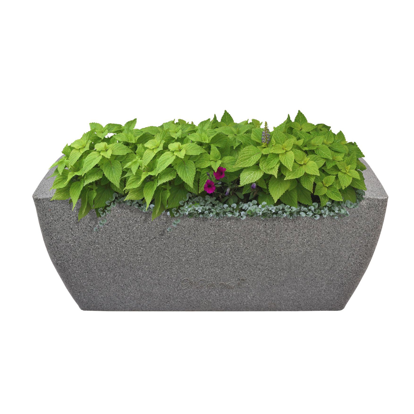 Leios – 24″ x 10″ x 10″