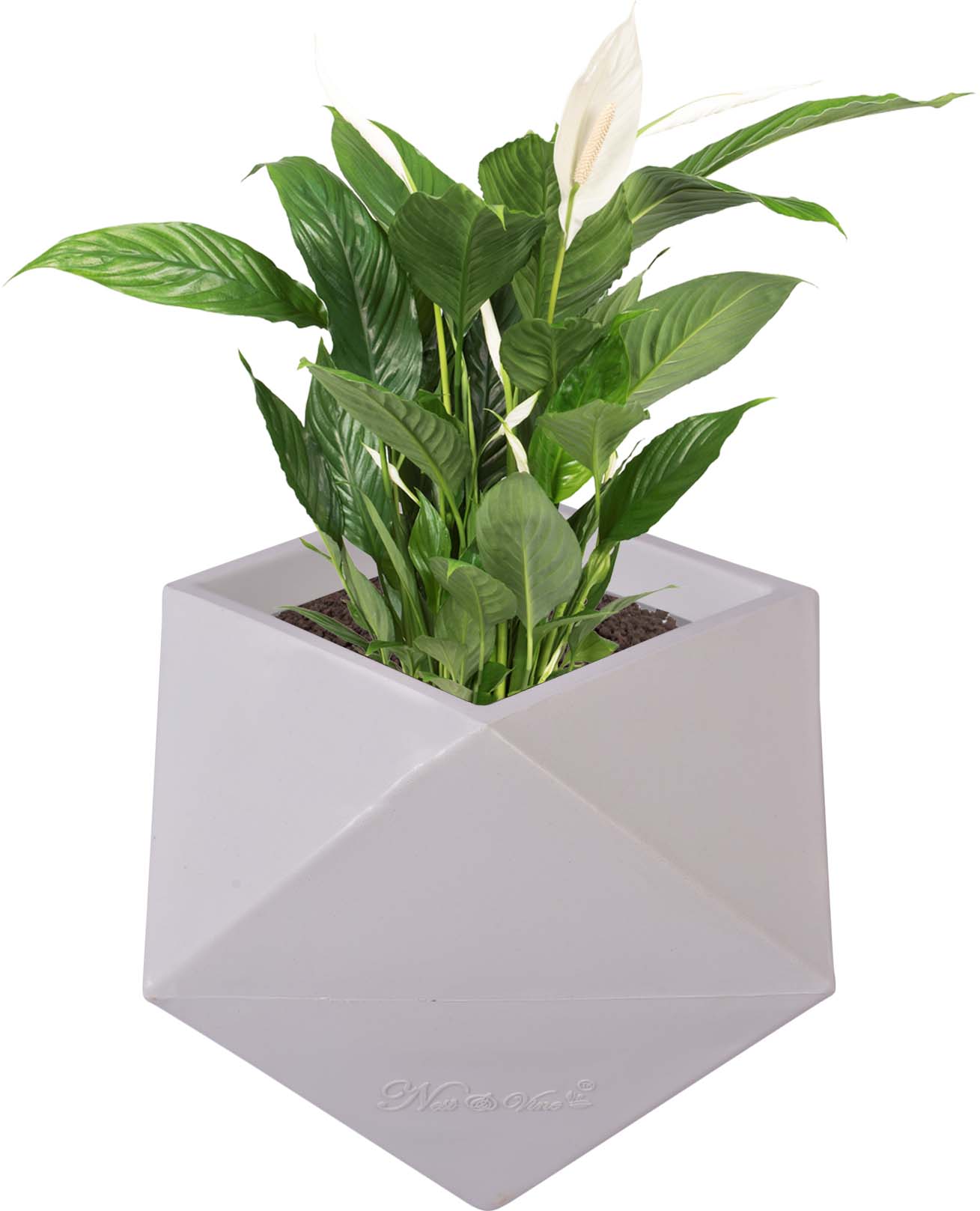 Diamanti – 15″ x 15″