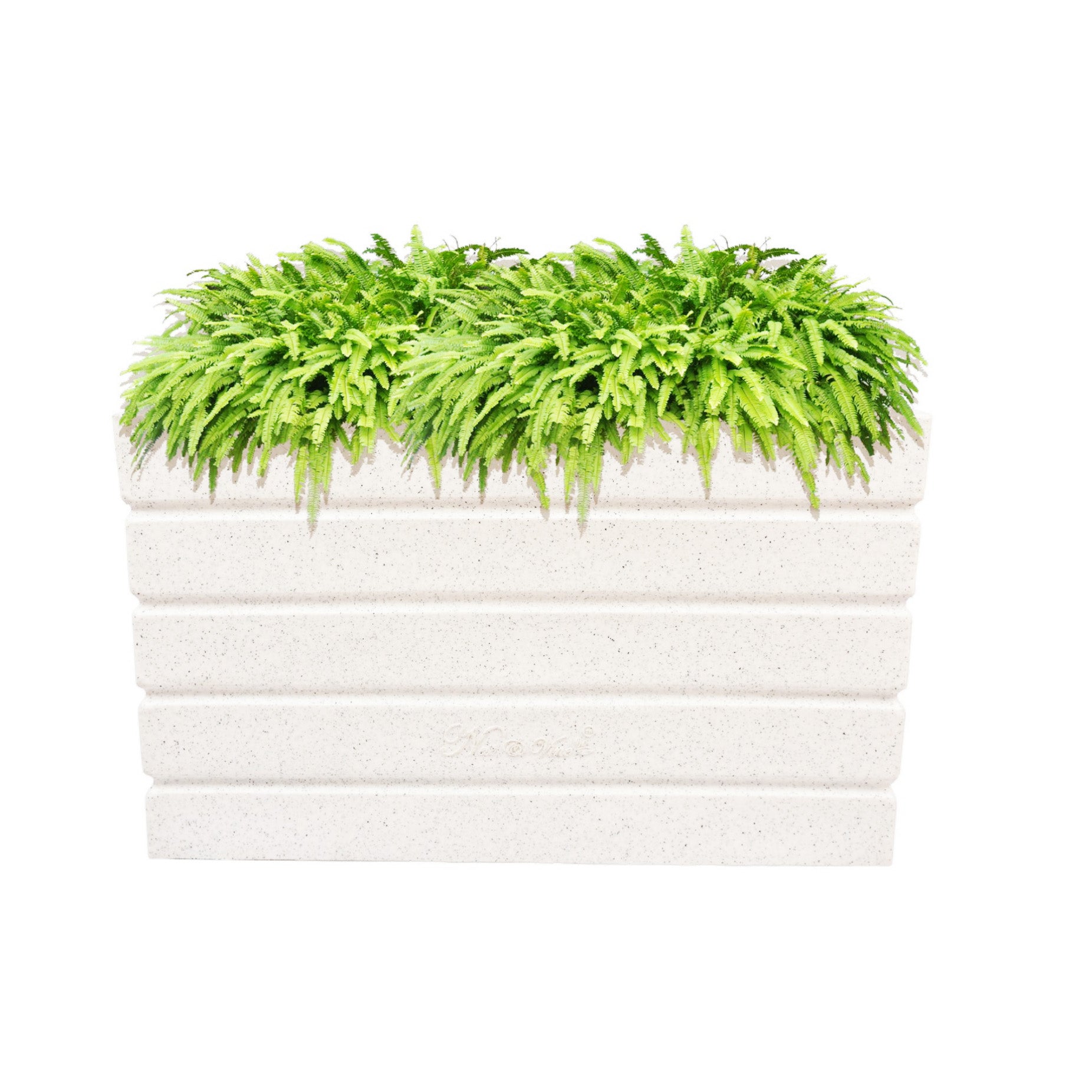 Iris – 24″ x 14″ x 10″