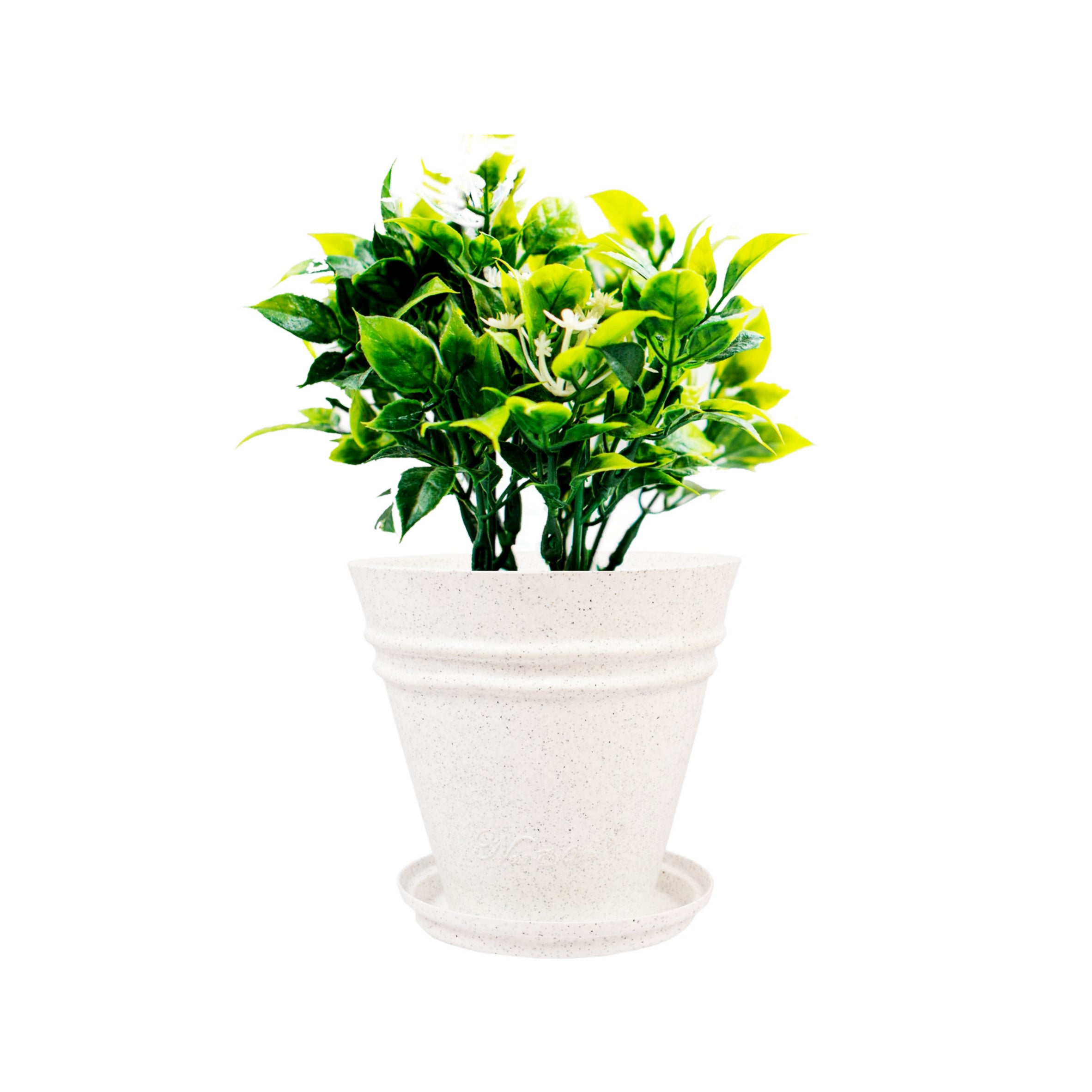 Konos (With Tray) – 12″ x 12″