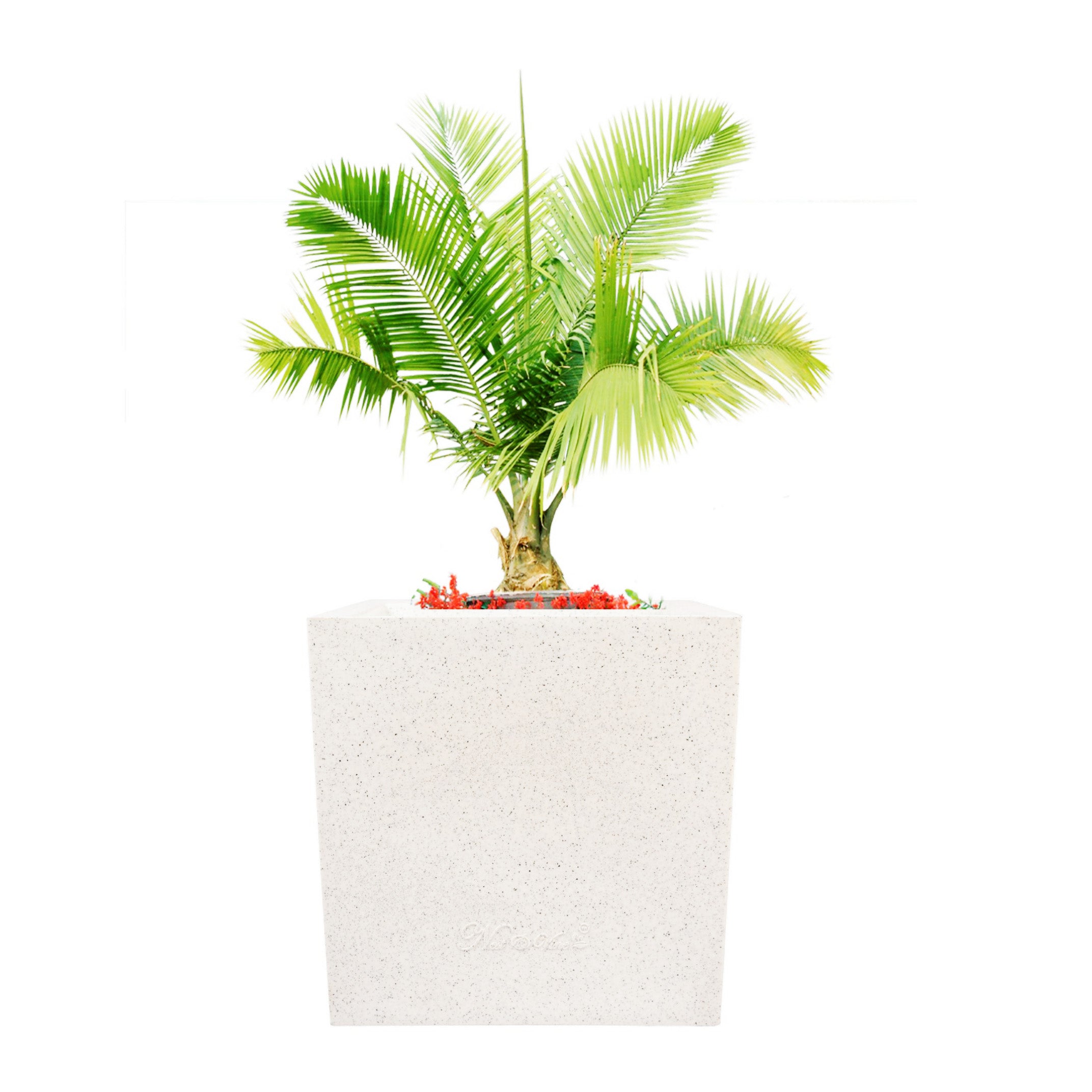 Kyvos – 15″ x 15″