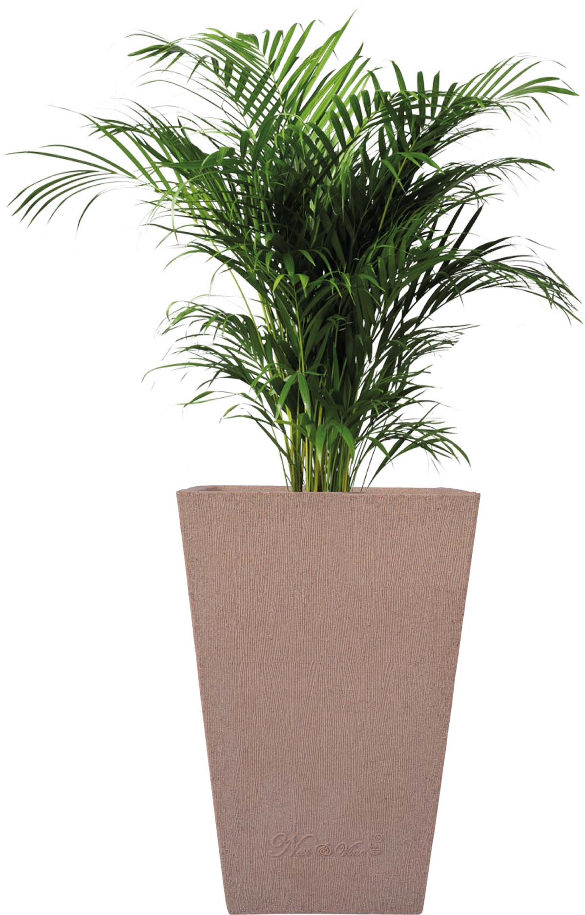 Makris – 12″ x 18″