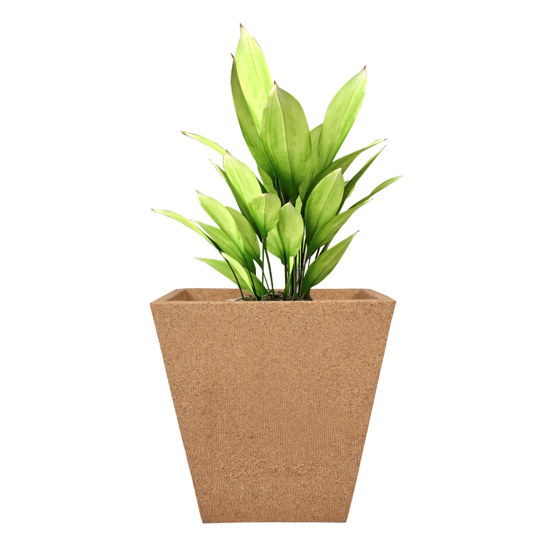 Makris – 12″ x 12″